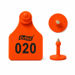 EVS Customizable Cattle Ear Tag - Orange - Large