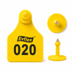 EVS Customizable Cattle Ear Tag - Yellow - Medium