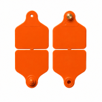 EVS Cattle Double Tag Set - Orange - Image 2