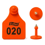 EVS Customizable Cattle Ear Tag - Orange - Medium