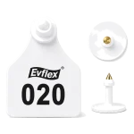 EVS Customizable Cattle Ear Tag - White - Medium